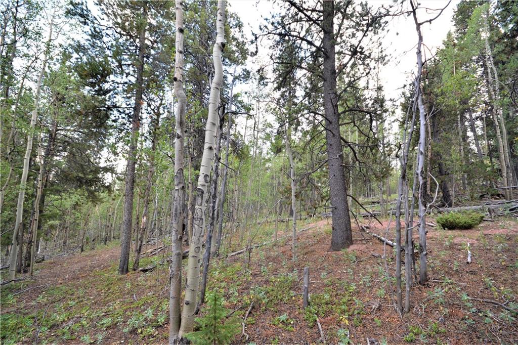 1250 Lumberjack Road Fairplay, CO 80440 - Photo 2 of 10 Gallery Image 2