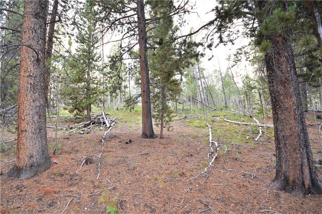 1250 Lumberjack Road Fairplay, CO 80440 - Photo 3 of 10 Gallery Image 3