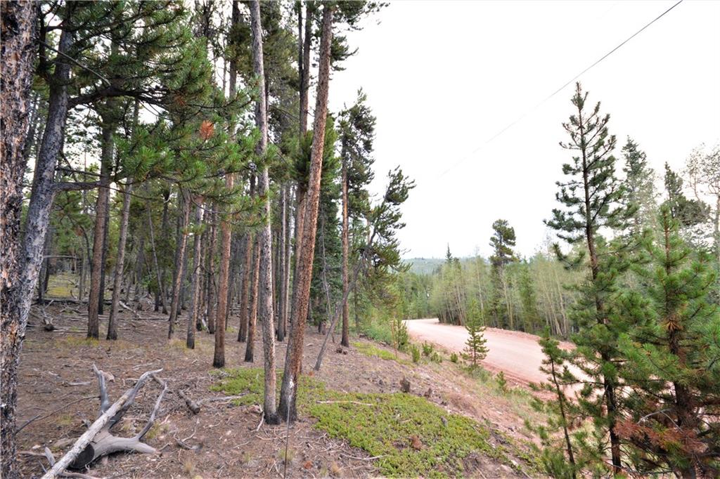 1250 Lumberjack Road Fairplay, CO 80440 - Photo 4 of 10 Gallery Image 4