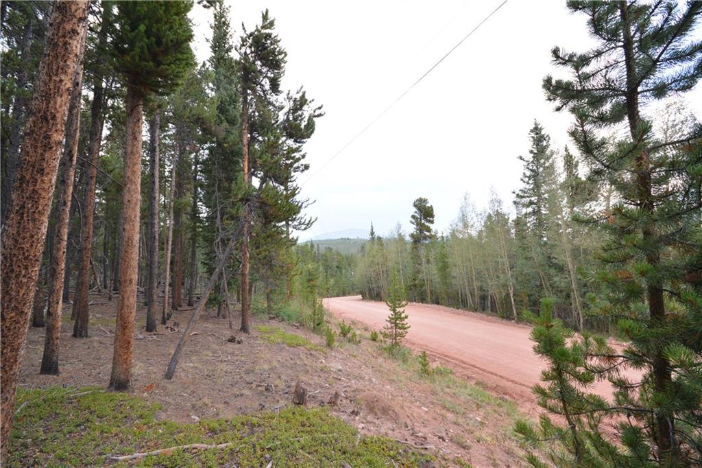 1250 Lumberjack Road Fairplay, CO 80440 - Photo 6 of 10 Gallery Image 6