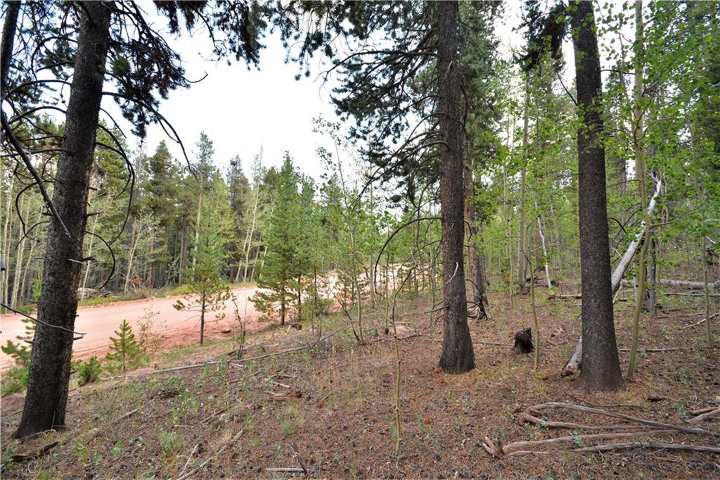 1250 Lumberjack Road Fairplay, CO 80440 - Photo 8 of 10 Gallery Image 8