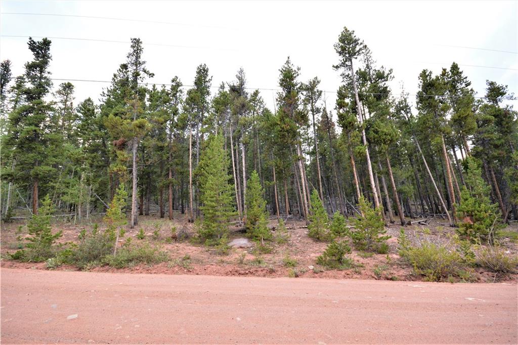 1250 Lumberjack Road Fairplay, CO 80440 - Photo 9 of 10 Gallery Image 9