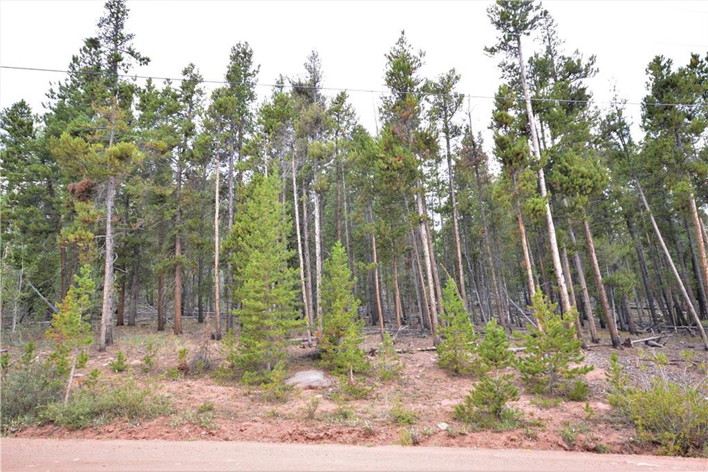 1250 Lumberjack Road Fairplay, CO 80440 - Photo 10 of 10 Gallery Image 10