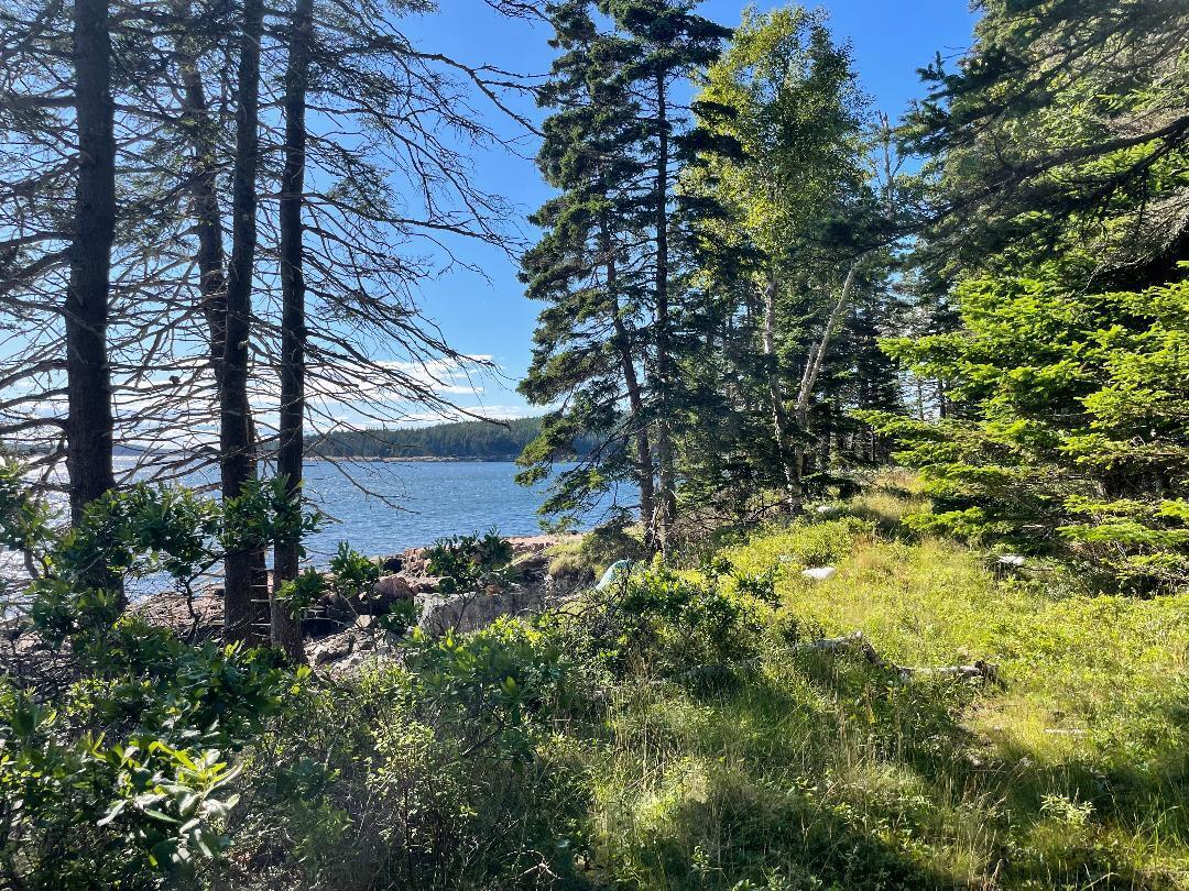 56 Jordan Harbor Road Winter Harbor, ME 04693 - Photo 1 of 12 thumbnail ww