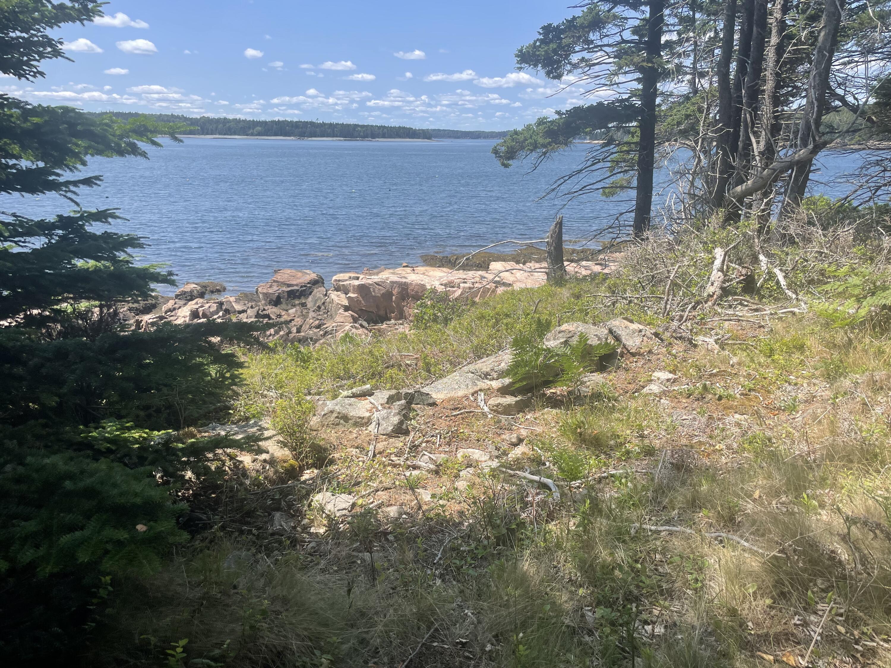 56 Jordan Harbor Road Winter Harbor, ME 04693 - Photo 11 of 12 IMG_3514