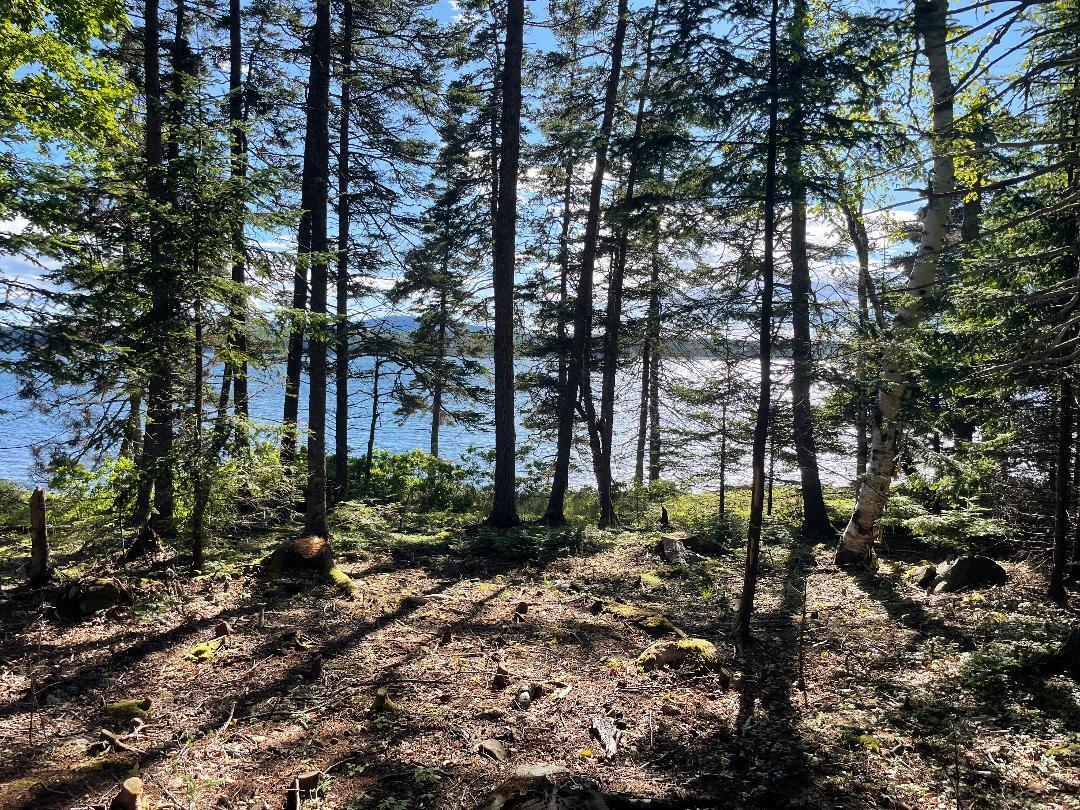 56 Jordan Harbor Road Winter Harbor, ME 04693 - Photo 2 of 12 thumbnail xx