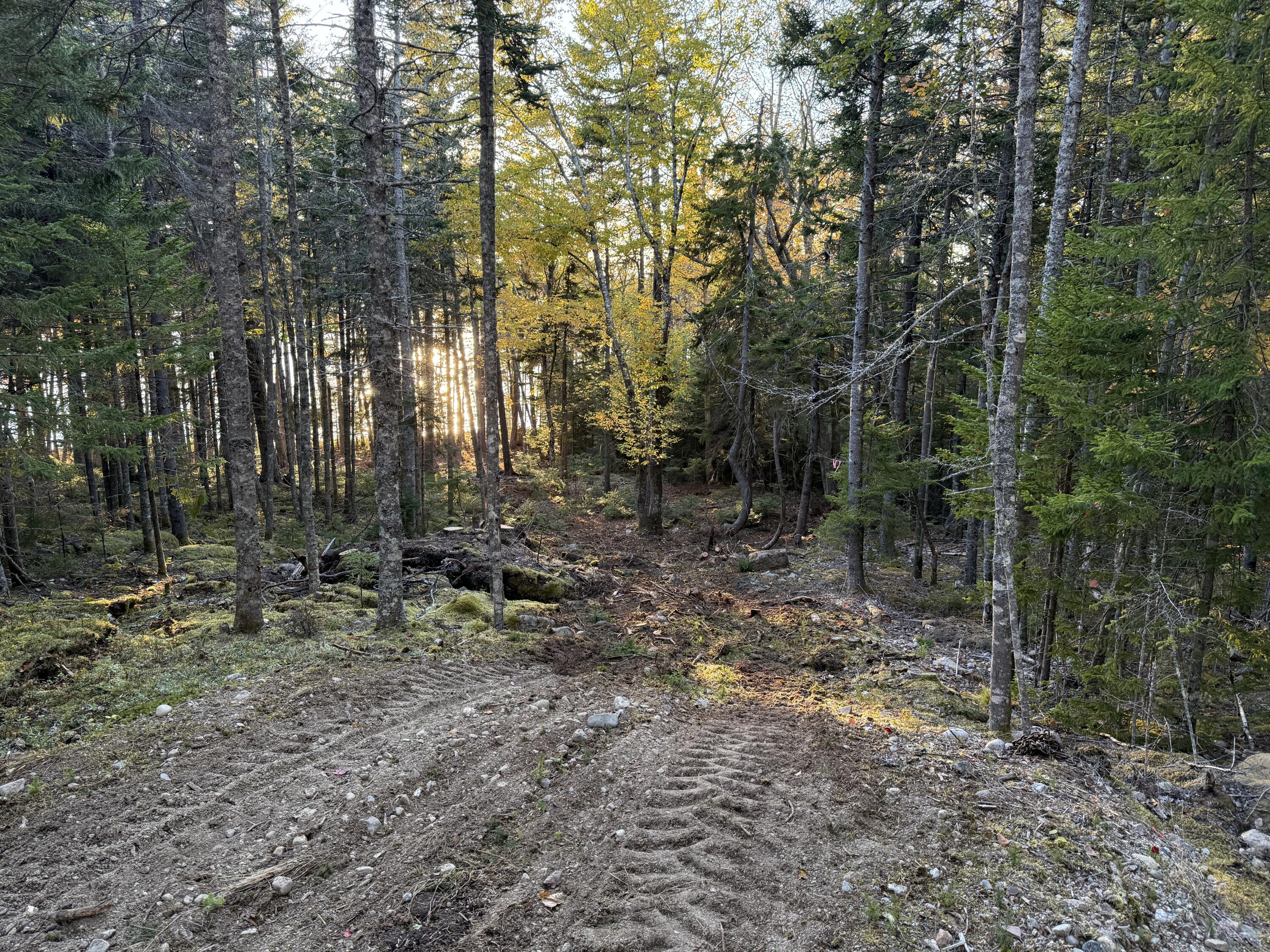 56 Jordan Harbor Road Winter Harbor, ME 04693 - Photo 3 of 12 IMG_0093