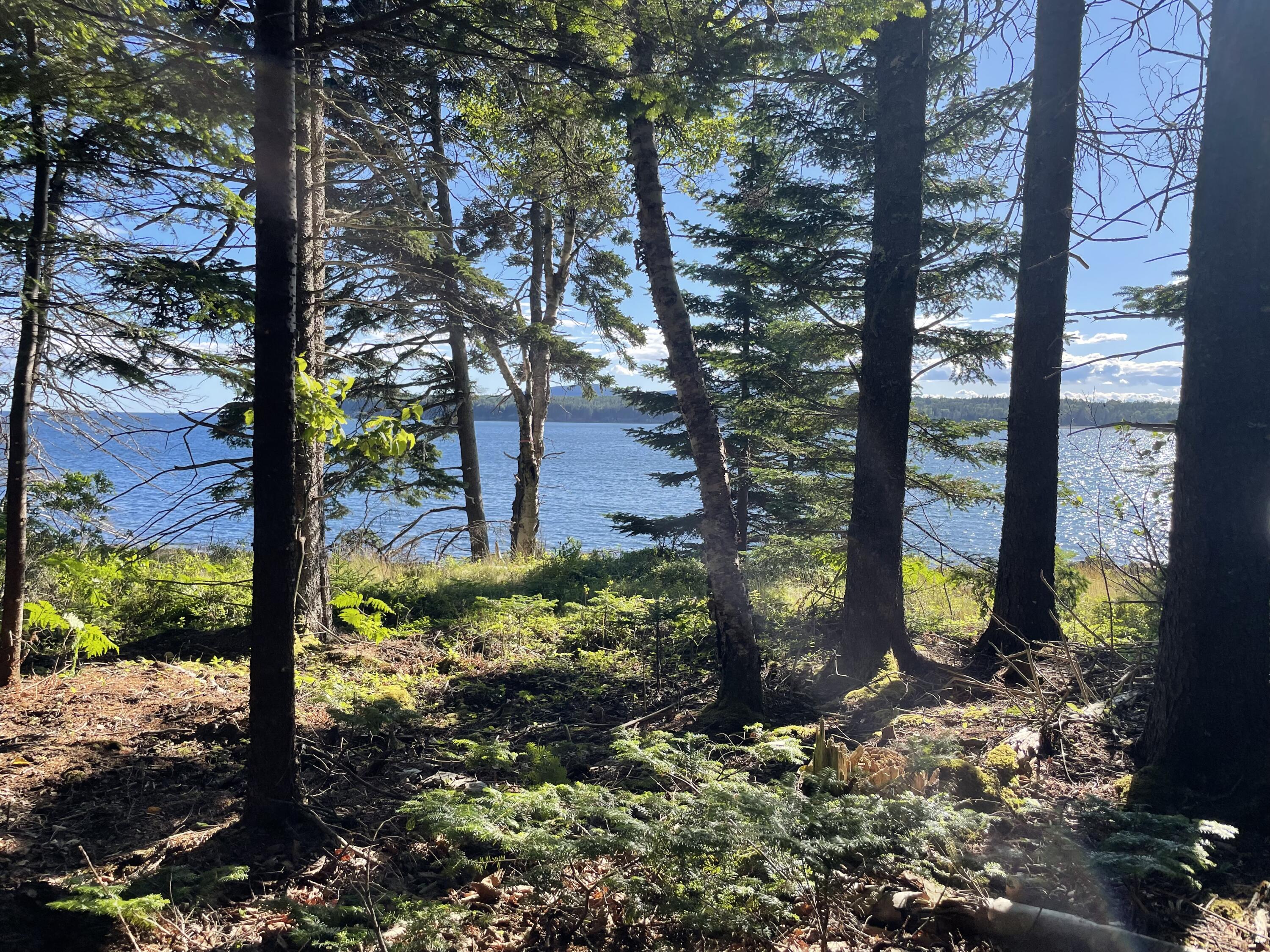 56 Jordan Harbor Road Winter Harbor, ME 04693 - Photo 5 of 12 IMG_3500