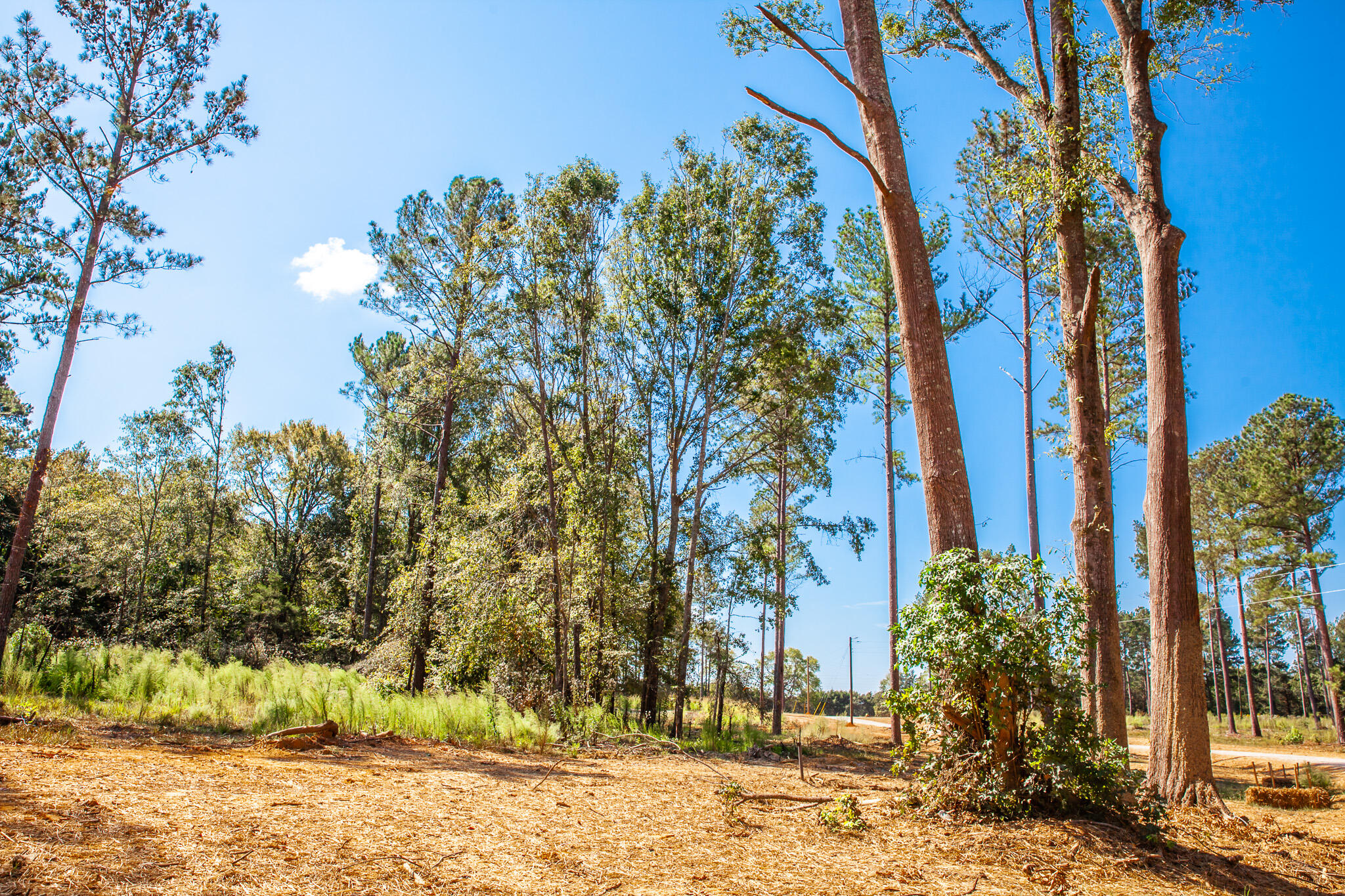 535 Rabbit Pen Drive Appling, GA 30802 - Photo 2 of 9 IMG_4304