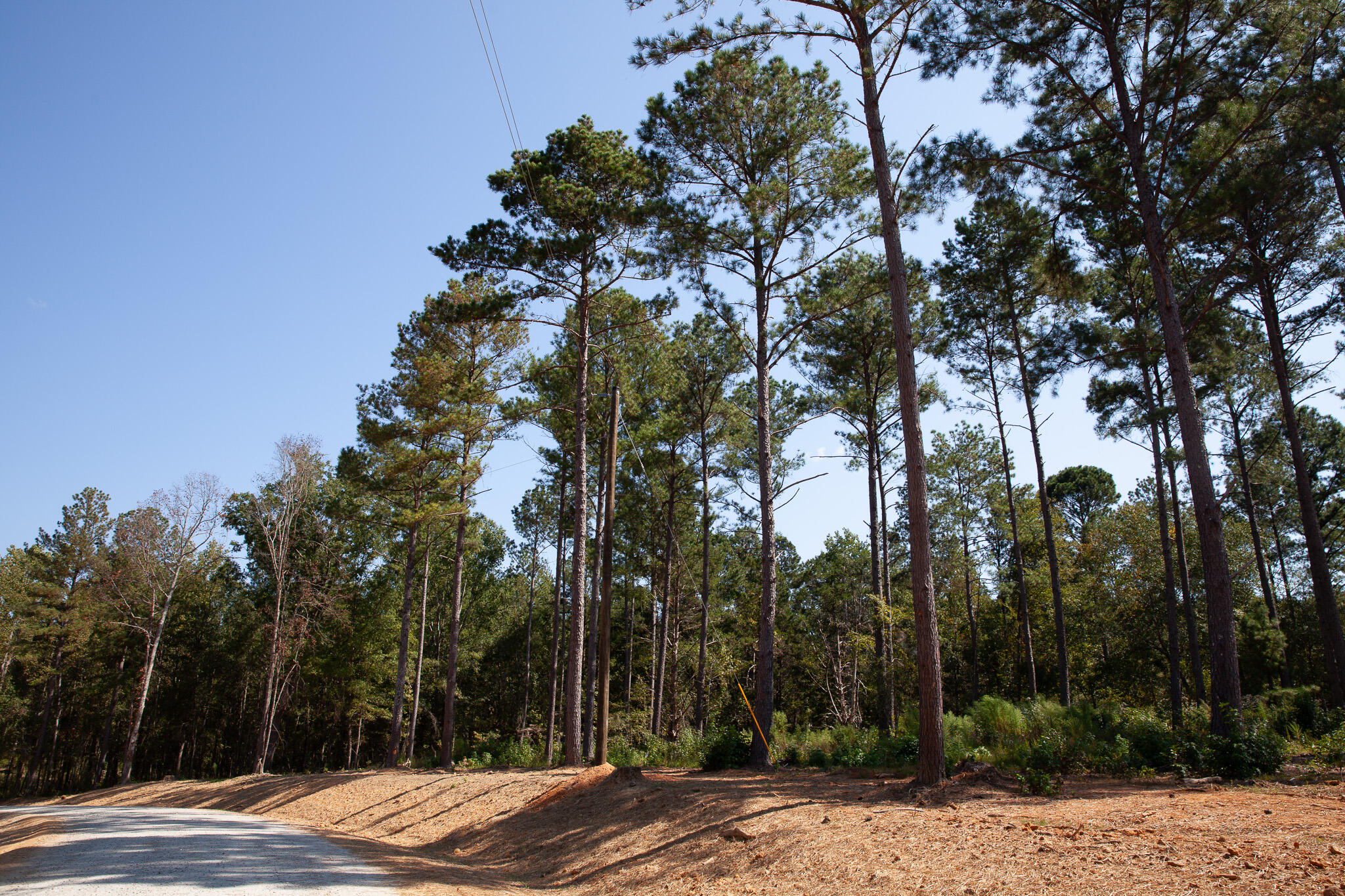 535 Rabbit Pen Drive Appling, GA 30802 - Photo 4 of 9 IMG_4306