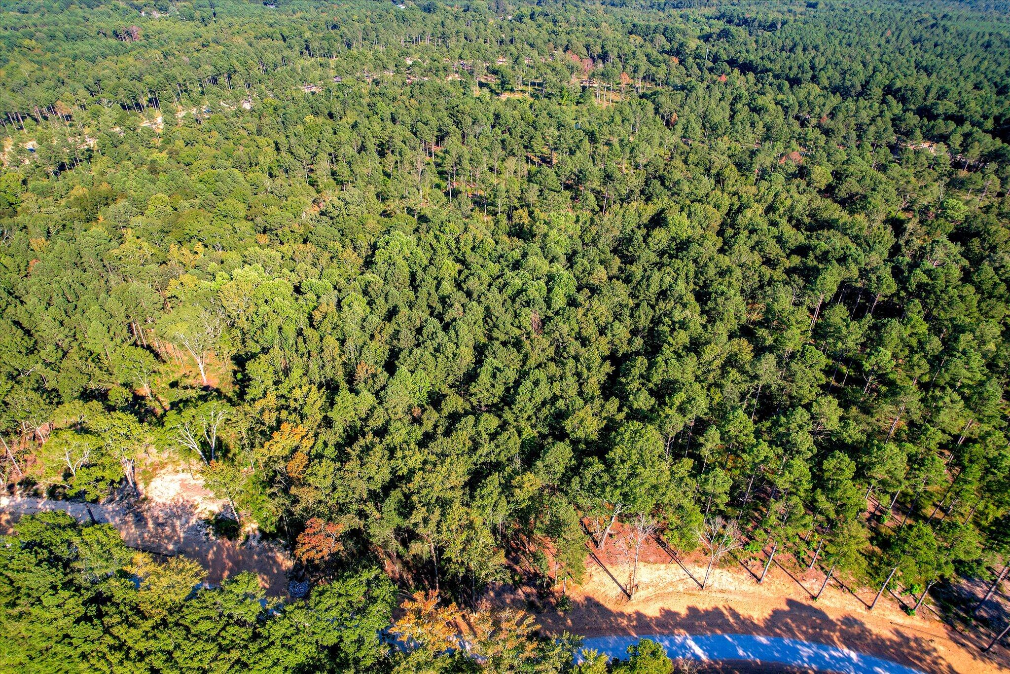 535 Rabbit Pen Drive Appling, GA 30802 - Photo 6 of 9 15-115