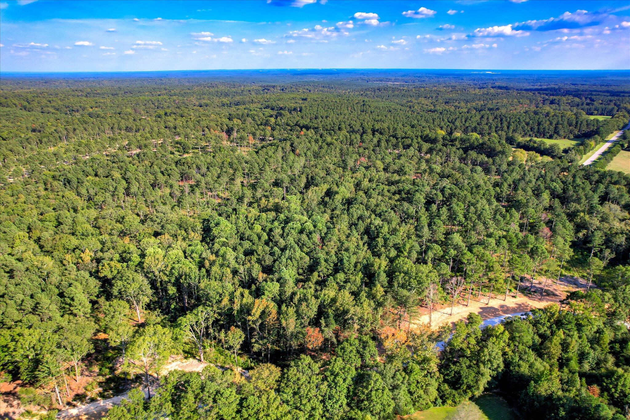 535 Rabbit Pen Drive Appling, GA 30802 - Photo 7 of 9 16-116