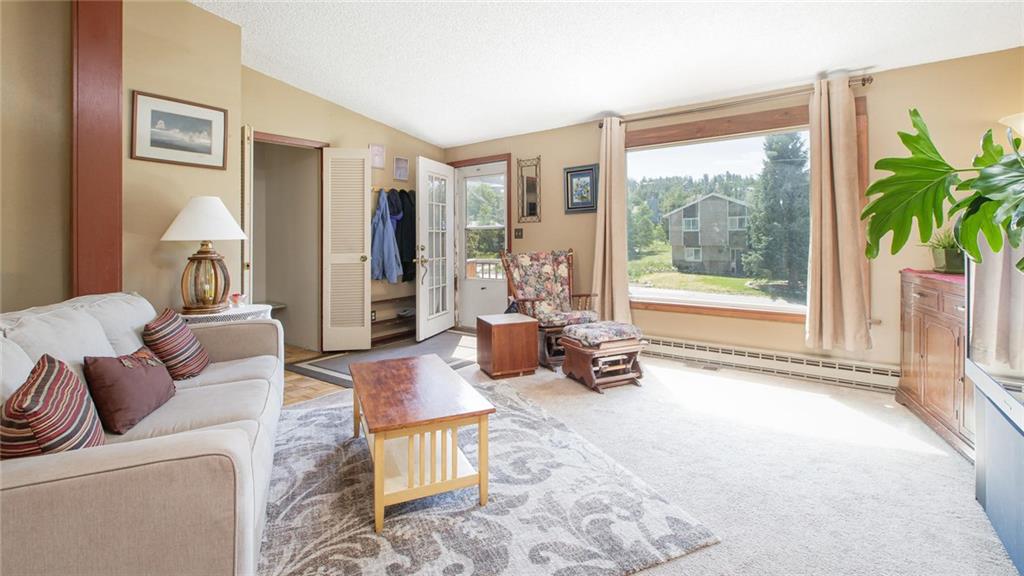 151 Alpine Road Dillon, CO 80435 - Photo 4 of 30 a living room with furniture and a large window