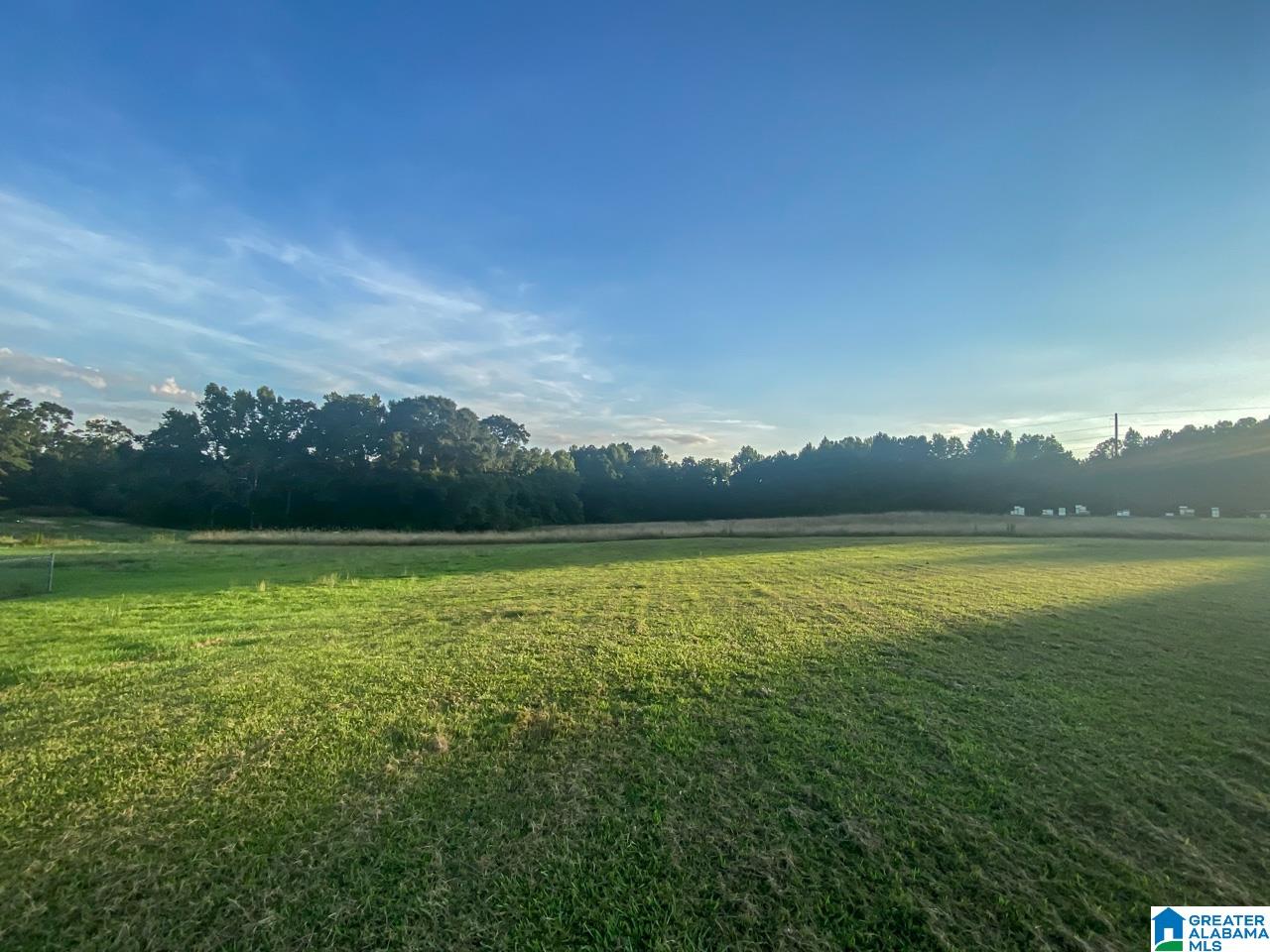 1425 Sandcut Road Nauvoo, AL 35578 - Photo 5 of 19