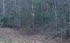 3533 Ebenezer Road Murphy, NC 28906 - Photo 1 of 1 Main View