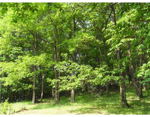 111 Fairfield Road Tarentum, PA 15084 - Photo 14 of 18 Yard/Garden.