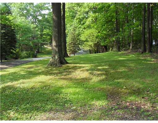 111 Fairfield Road Tarentum, PA 15084 - Photo 15 of 18 Yard/Garden.