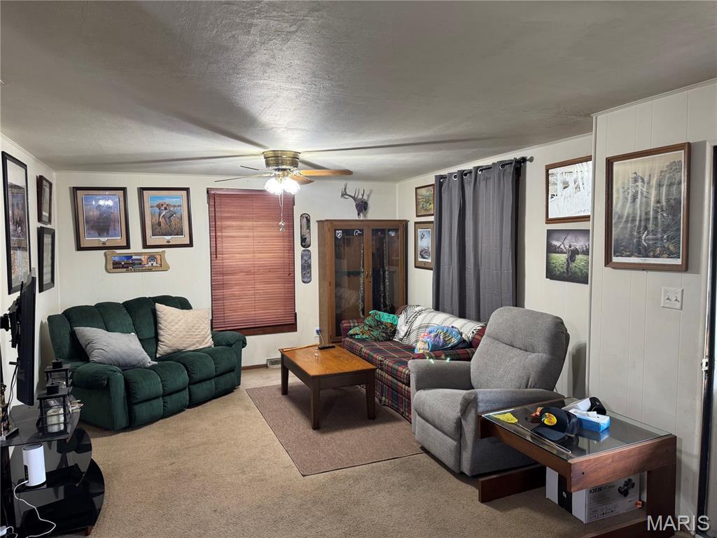 232 North Main Street Witt, IL 62094 - Photo 5 of 34