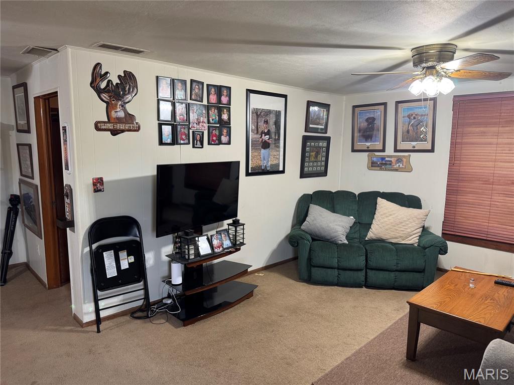 232 North Main Street Witt, IL 62094 - Photo 6 of 34