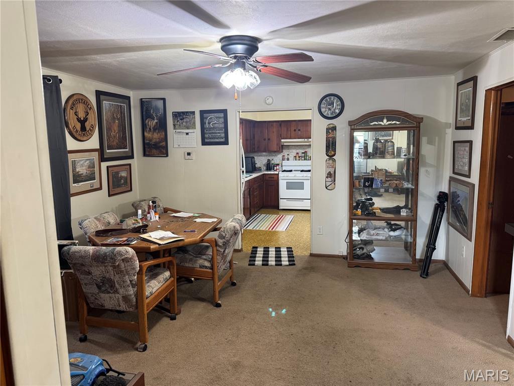 232 North Main Street Witt, IL 62094 - Photo 7 of 34