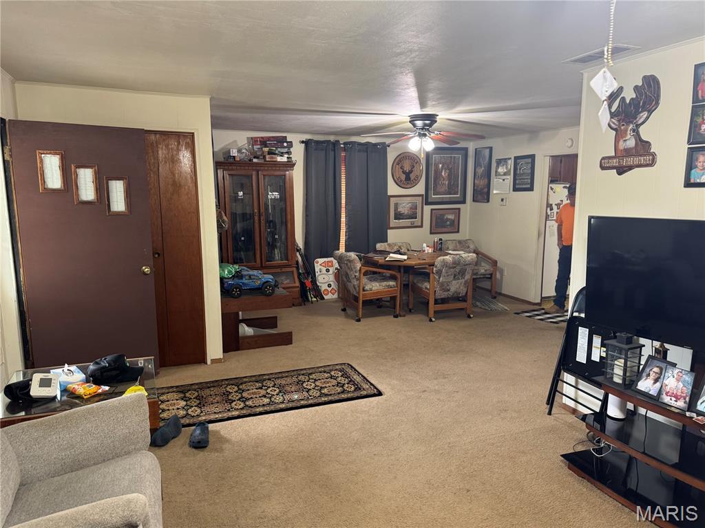 232 North Main Street Witt, IL 62094 - Photo 8 of 34