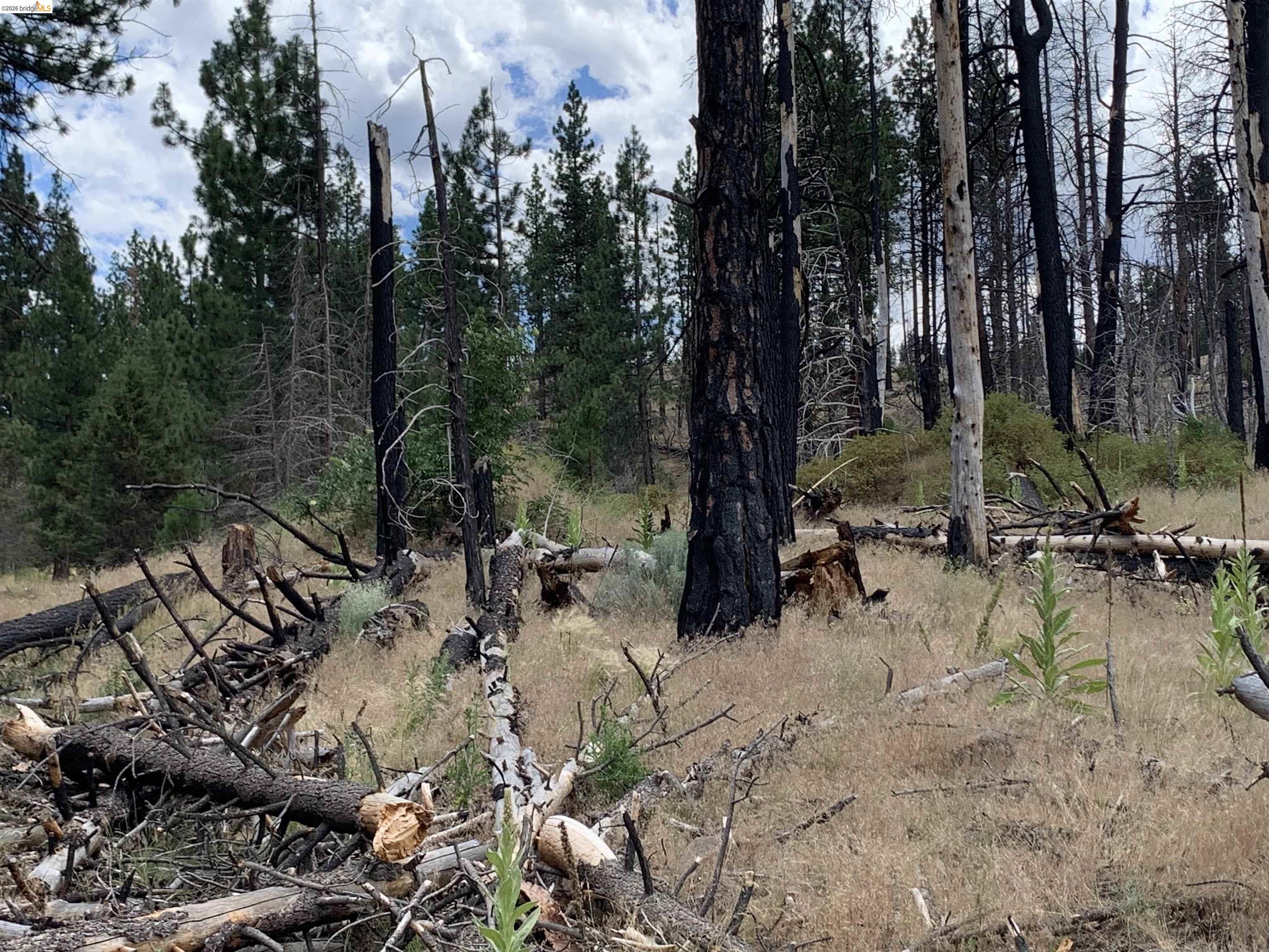 0 Butte Creek Road Susanville, CA 96127 - Photo 5 of 14 Gallery Image 5