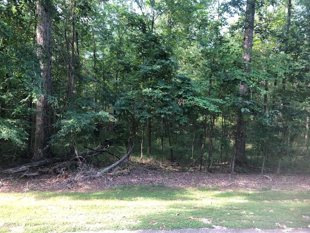 Lot 1 Plantation Point Road Lincolnton, GA 30817 - Photo 1 of 5 Main View