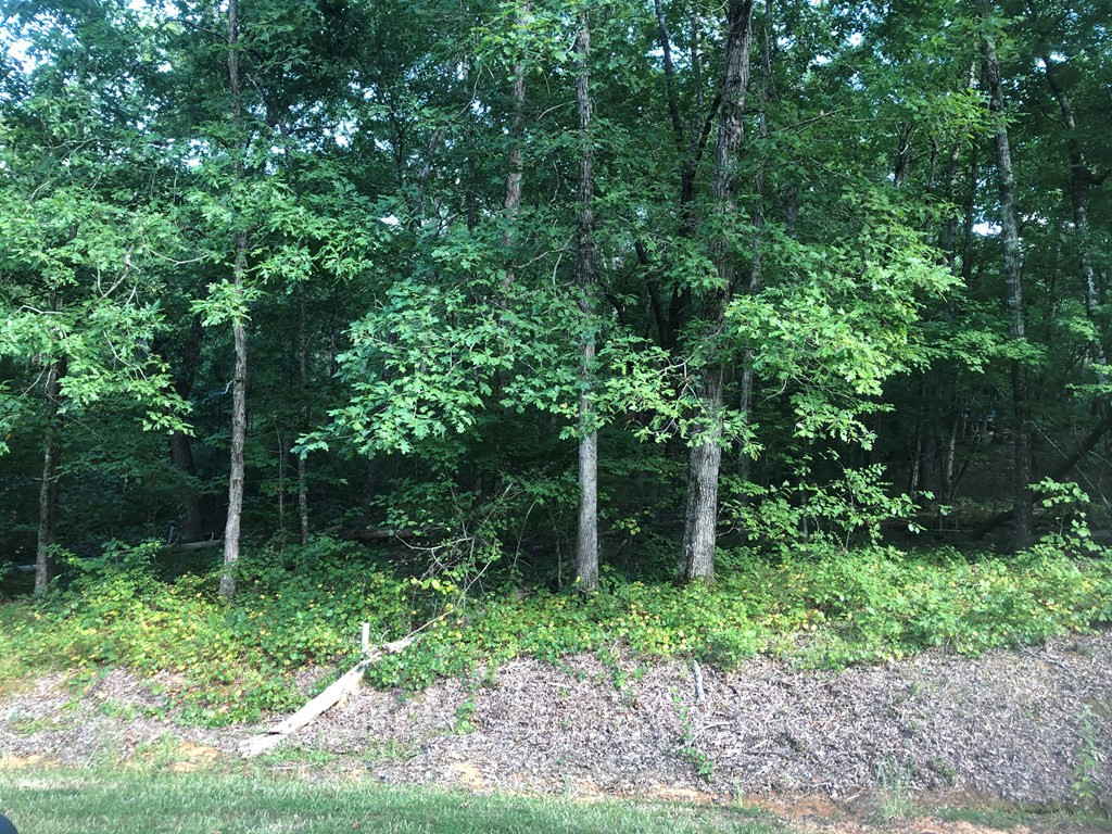 Lot 1 Plantation Point Road Lincolnton, GA 30817 - Photo 5 of 5