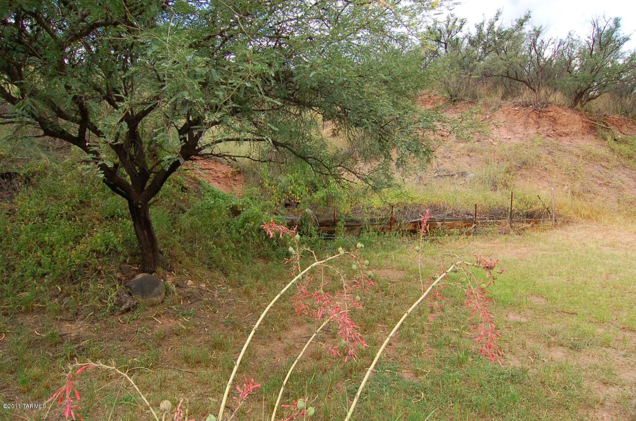 421 Harshaw Road Patagonia, AZ 85624 - Photo 15 of 25