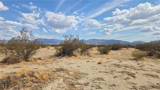 a view of a dry yard with wooden fence