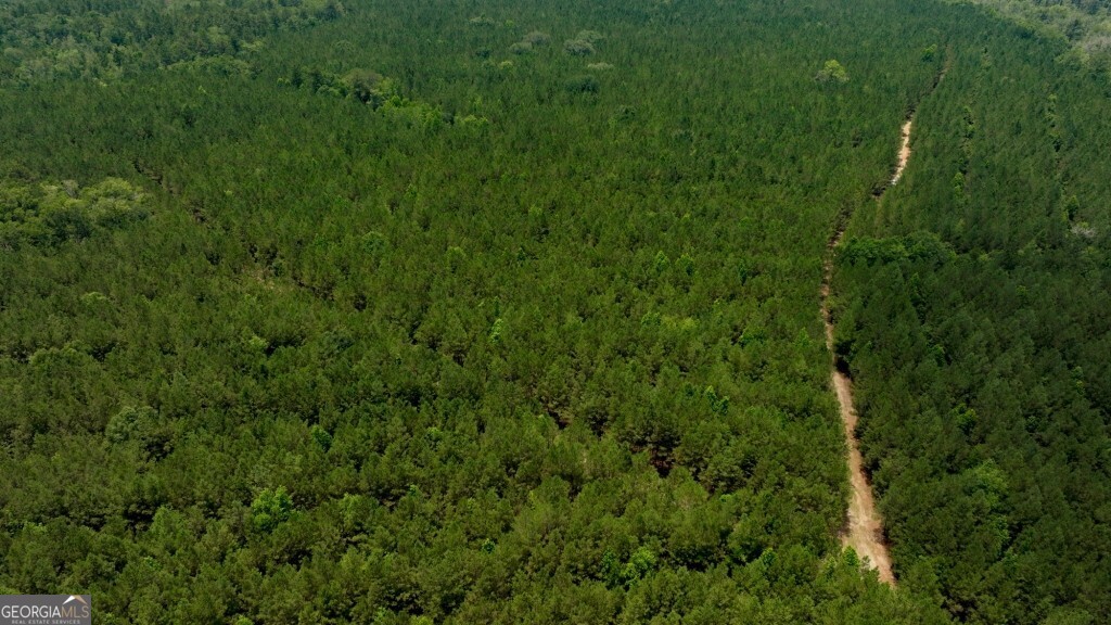 0 Highway 204 & Carlos Cowart Road Pembroke, GA 31321 - Photo 33 of 47