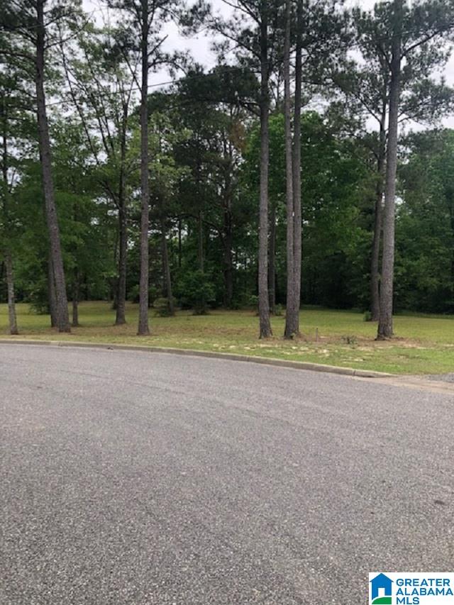 Gilead Estates Demopolis, AL 36732 - Photo 4 of 8