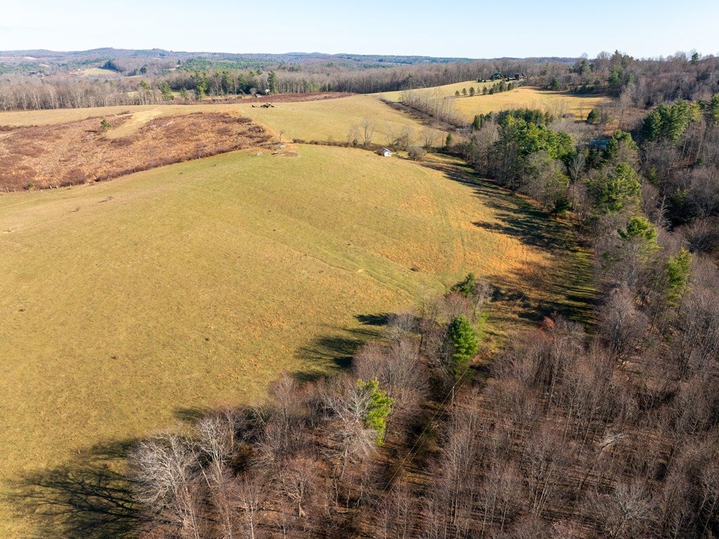 Tbd Dry Twig Road Laurel Fork, VA 24352 - Photo 4 of 13 Gallery Image 4