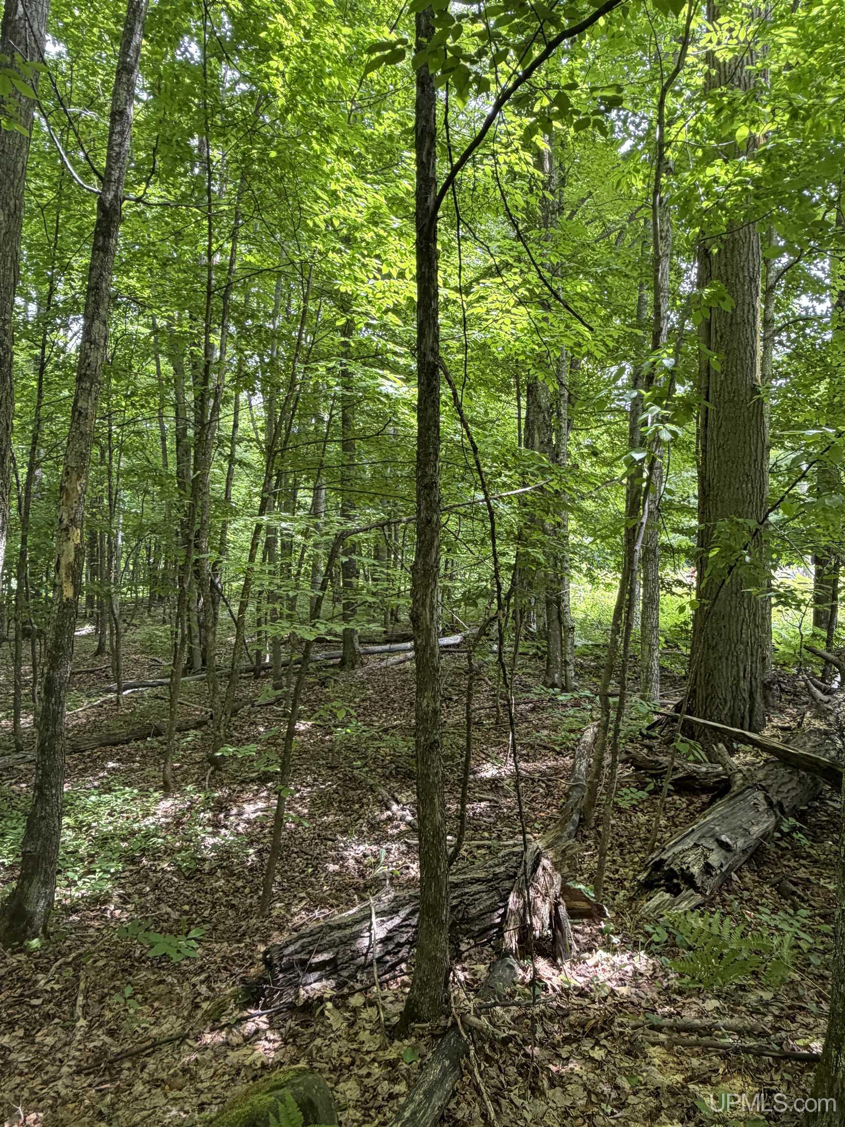 Tbd20 Skanee Road Skanee, MI 49962 - Photo 15 of 26