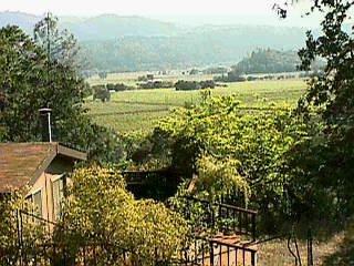 a view of a lake with a houses