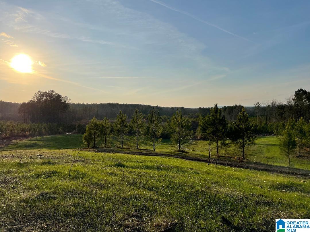 1668 Joinertown Road, Unit 1 Columbiana, AL 35051 - Photo 6 of 7