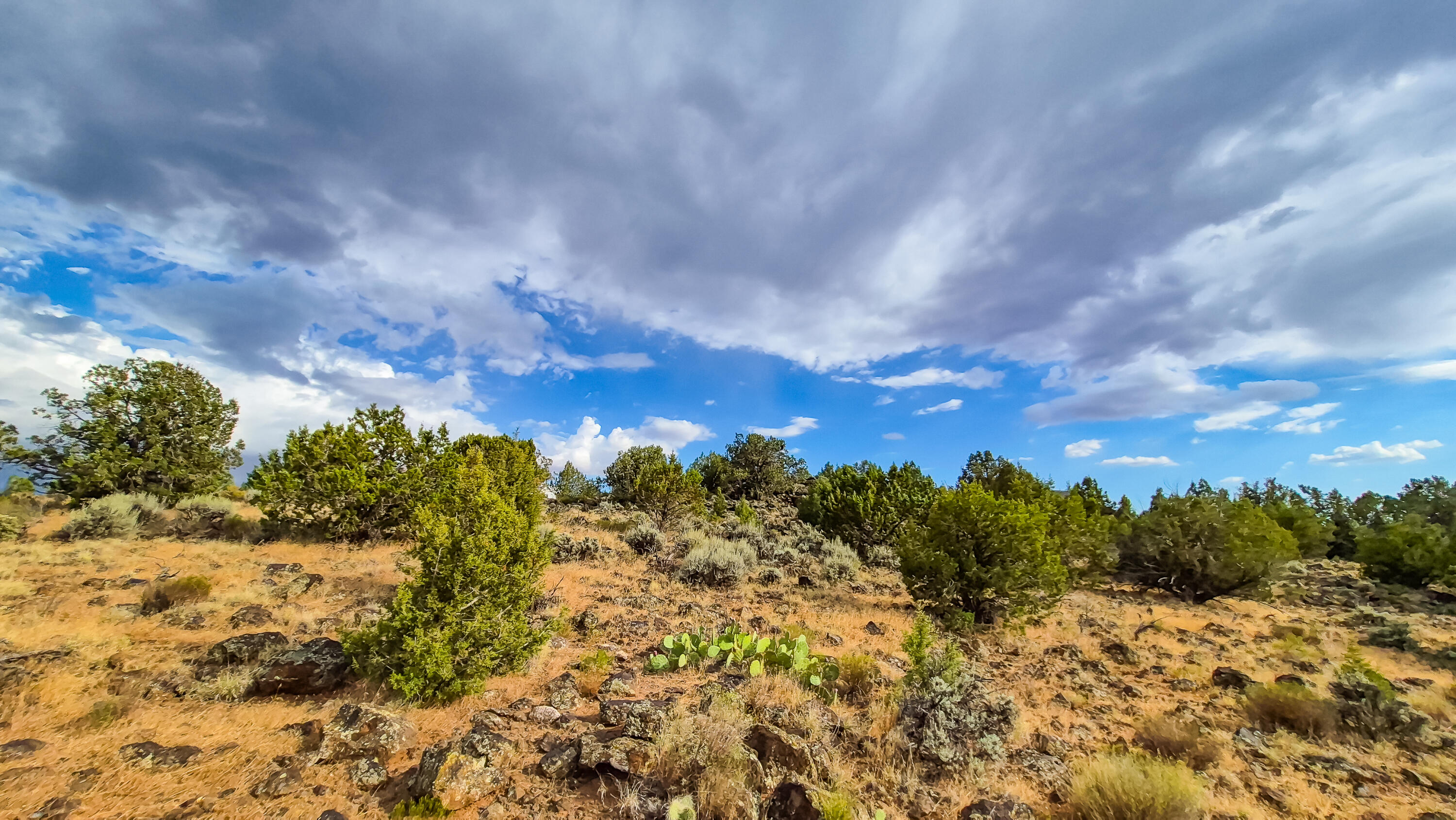 East Veyo Resort Road, Unit 7158ANW Veyo, UT 84782 - Photo 11 of 22 20260722_182451(0) (1)