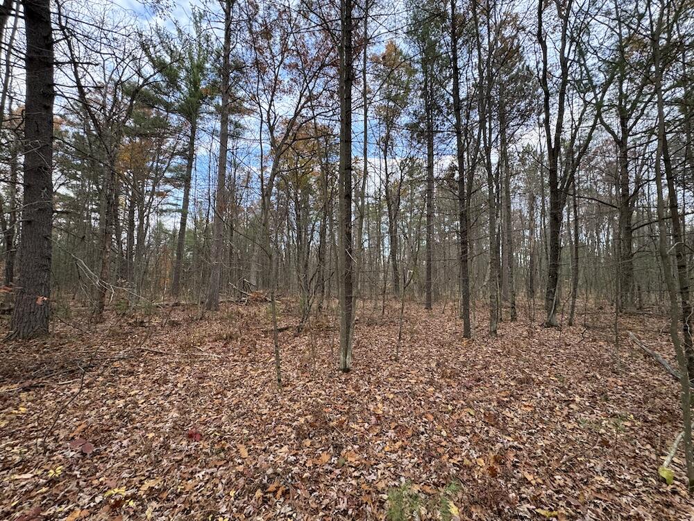 4335 Kings Corner Road Glennie, MI 48737 - Photo 49 of 90