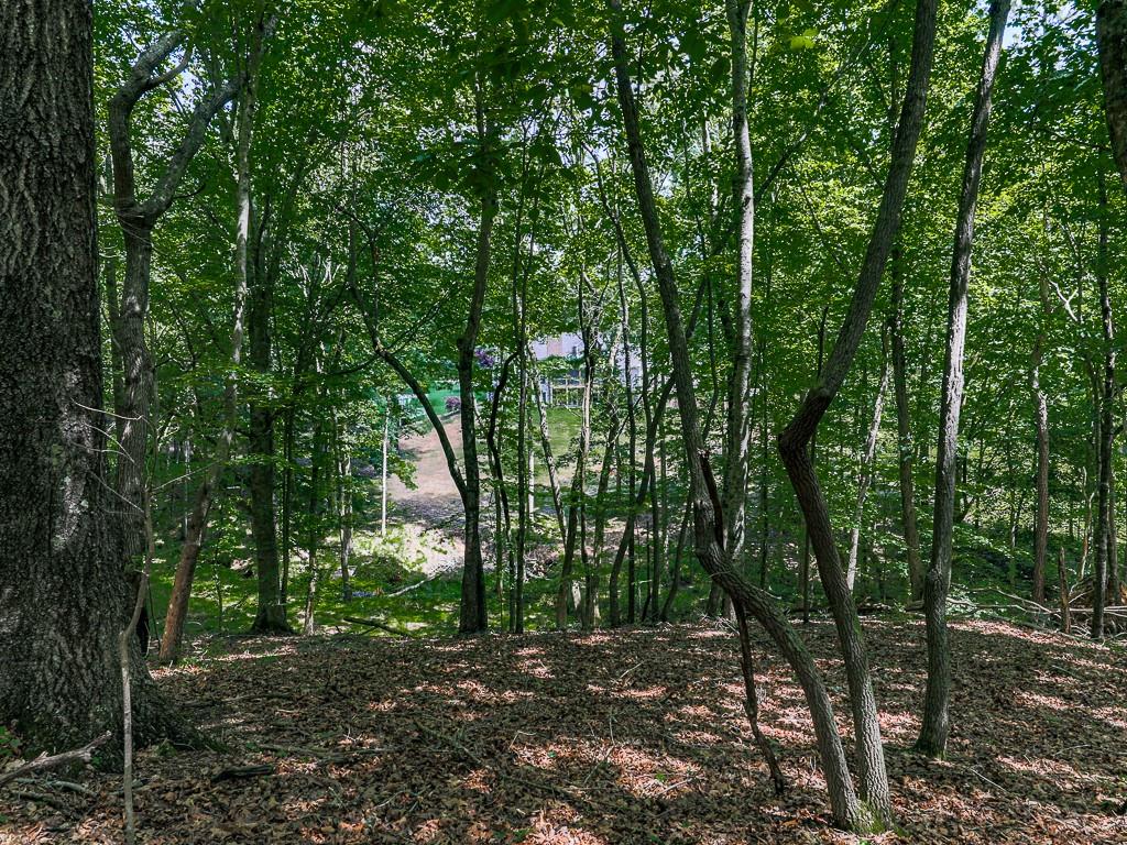 397 Thomas Road Dallas, GA 30132 - Photo 108 of 108 a view of a forest with trees in the background