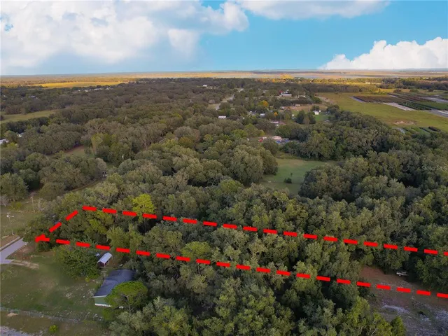 a view of a forest with a city