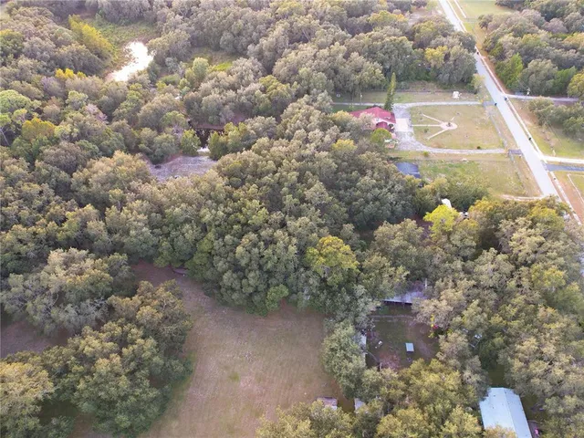 a view of a lush green space