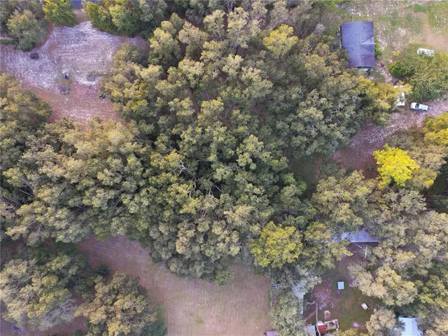 a view of a yard with tree s