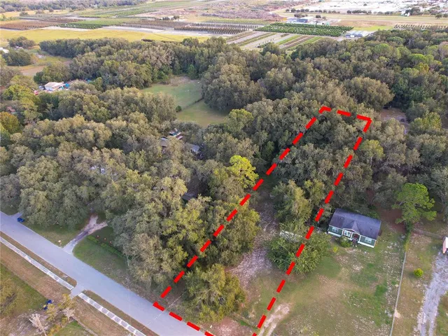 a view of a flower in a yard