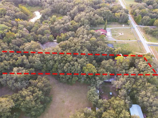 a view of a park with large trees