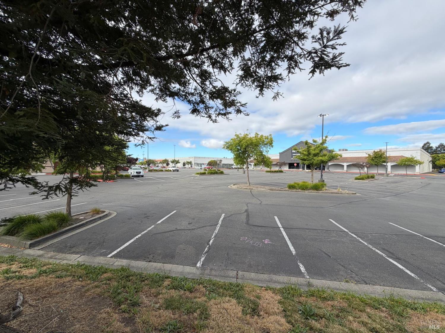 195 Millbrae Avenue Santa Rosa, CA 95407 - Photo 22 of 25