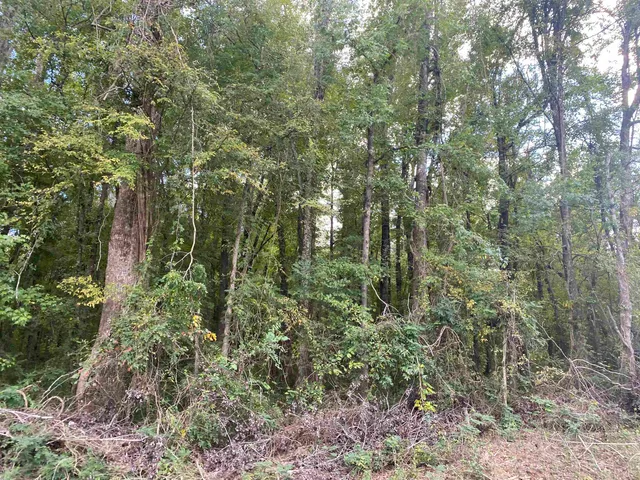 $29,900 | 1 69th Highway, Savannah, TN 38372