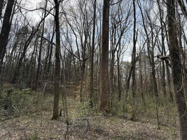 $29,900 | 1 69th Highway, Savannah, TN 38372