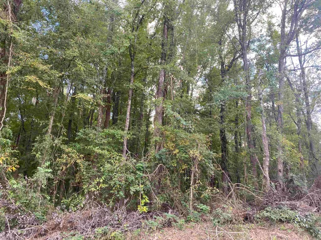 $29,900 | 1 69th Highway, Savannah, TN 38372