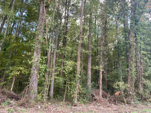 $29,900 | 1 69th Highway, Savannah, TN 38372
