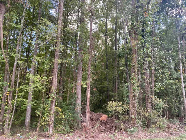 $29,900 | 1 69th Highway, Savannah, TN 38372